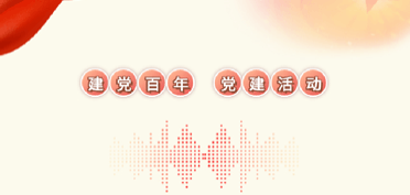 賽豪黨支部開展建黨100周年黨建活動(dòng)